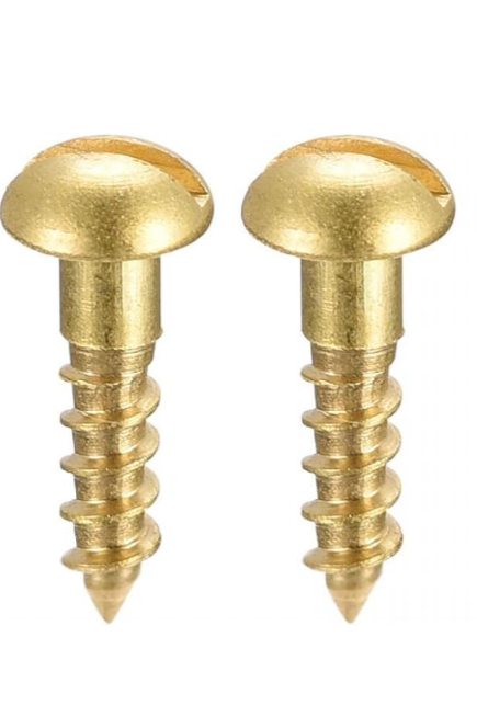 Pair of gold-colored mounting screws